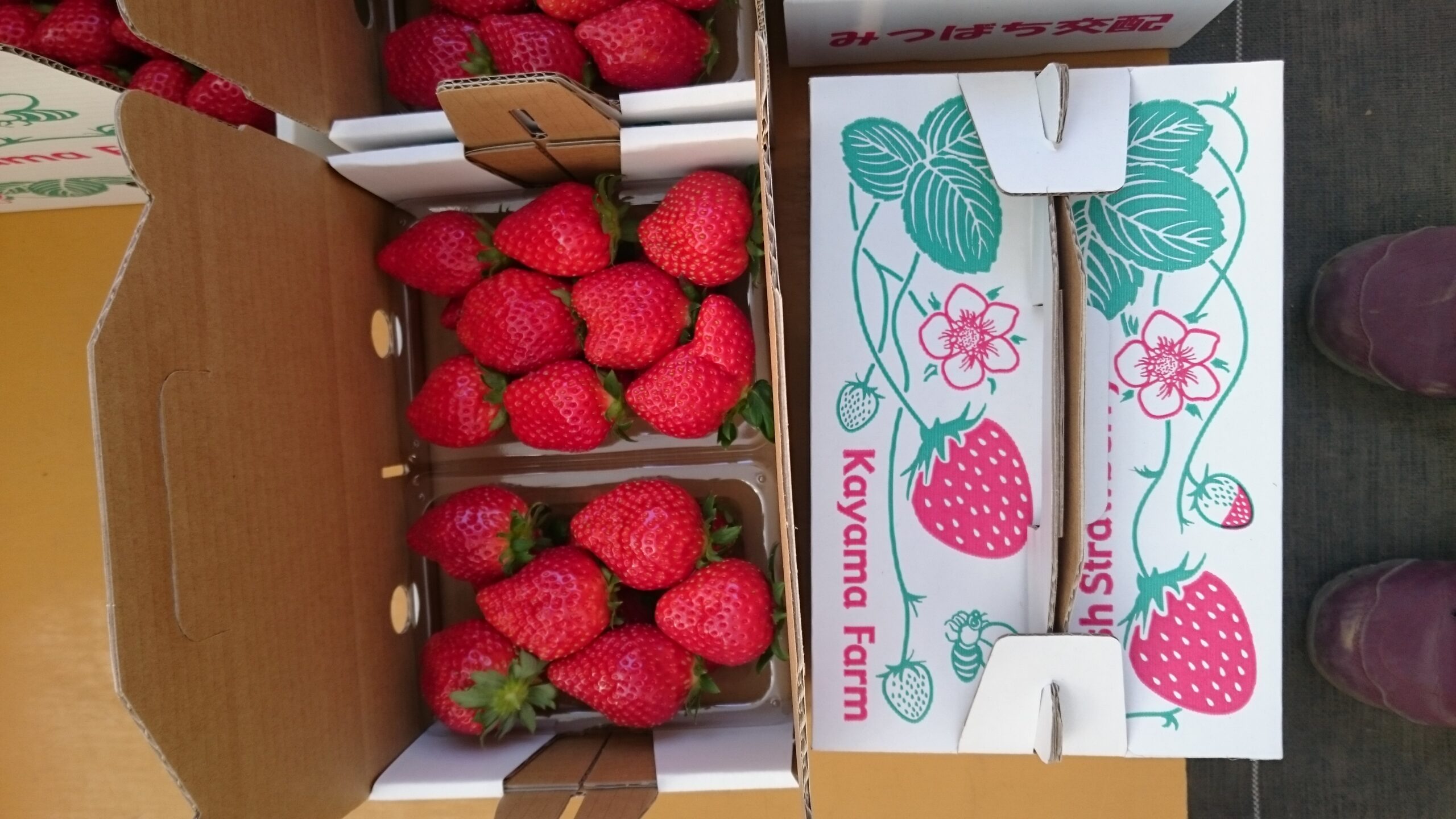 嘉山農園の2パック箱いちご