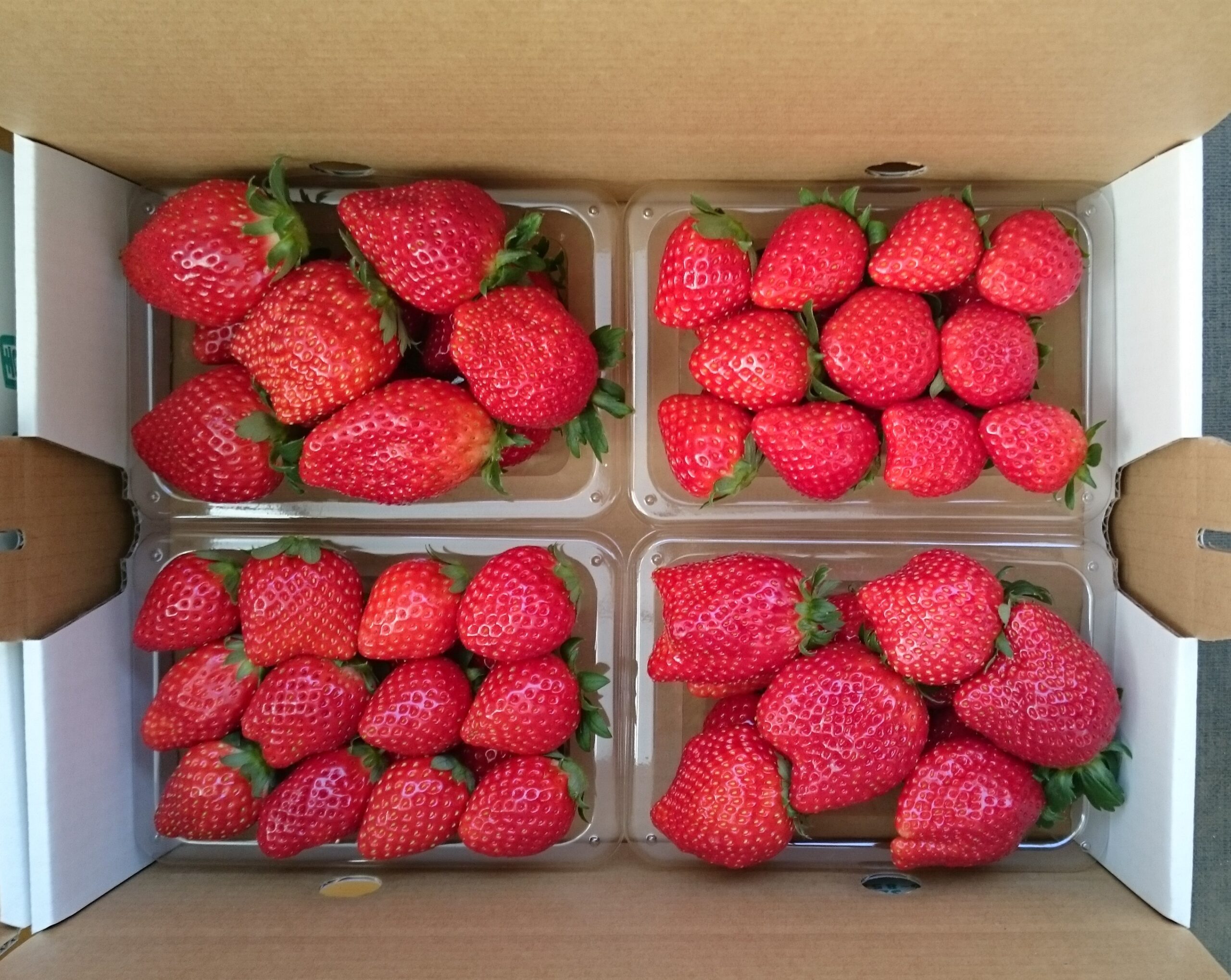 嘉山農園の4パック箱いちご