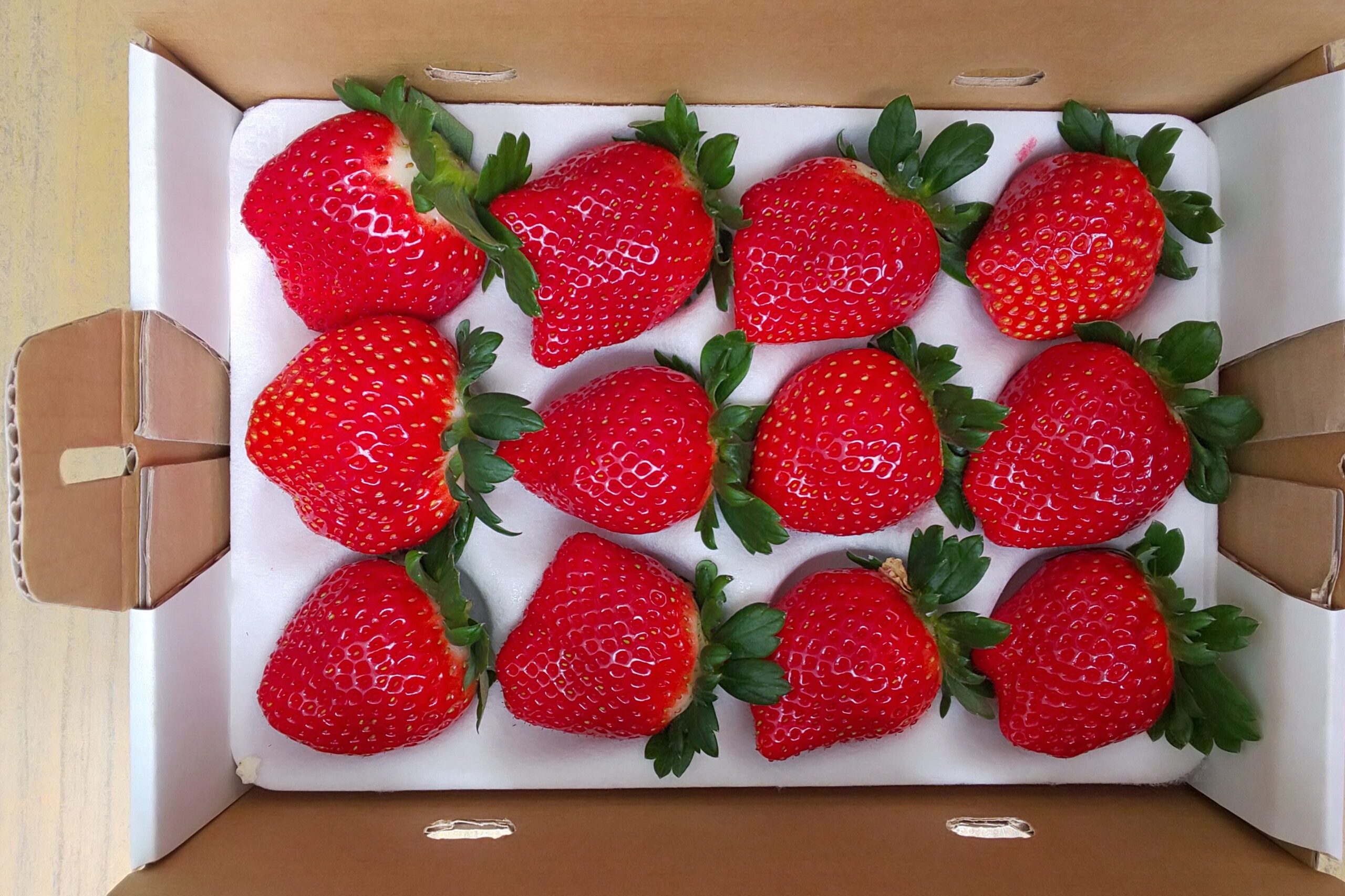 嘉山農園のデラックスS（シングル）のいちご